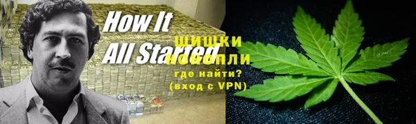 PSILOCYBIN Алзамай