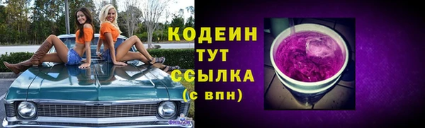 PSILOCYBIN Алзамай