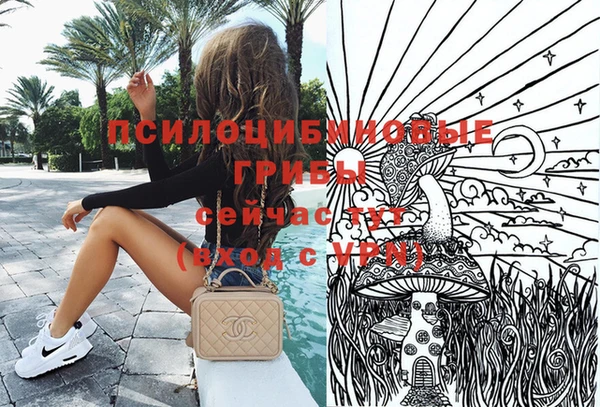 PSILOCYBIN Алзамай