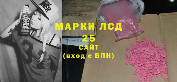 PSILOCYBIN Алзамай
