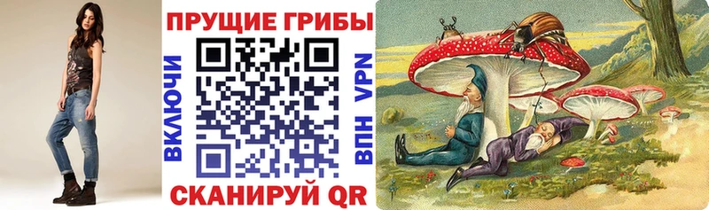 магазин  наркотиков  Лянтор  Галлюциногенные грибы GOLDEN TEACHER 