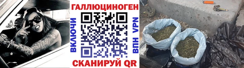 Псилоцибиновые грибы мухоморы Лянтор